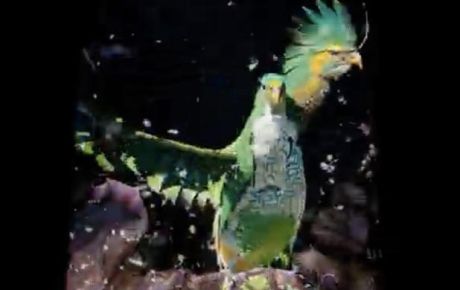 存在結構